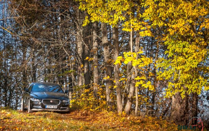 Jaguar Tour/Vytauto Pilkausko nuotrauka