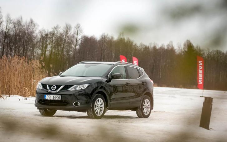 Ledo karalius 2017/Vytauto Pilkausko nuotrauka