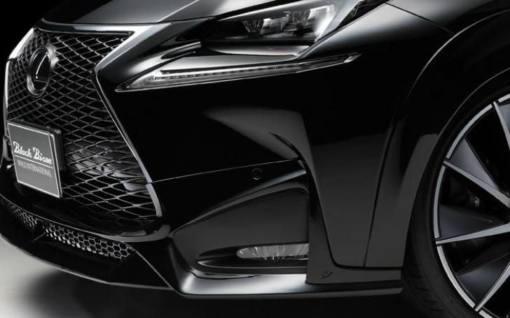 Lexus NX Wald International/Gamintojo nuotrauka
