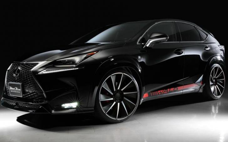 Lexus NX Wald International/Gamintojo nuotrauka