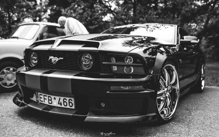Memel Motor Fest 2015/Organizatorių nuotrauka