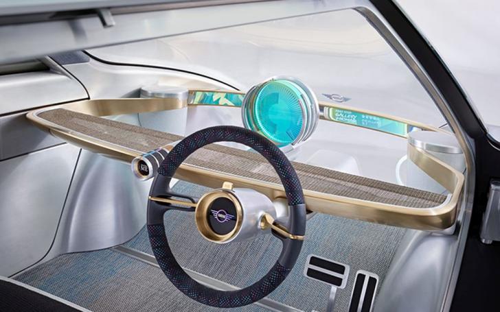 Mini Vision Next 100