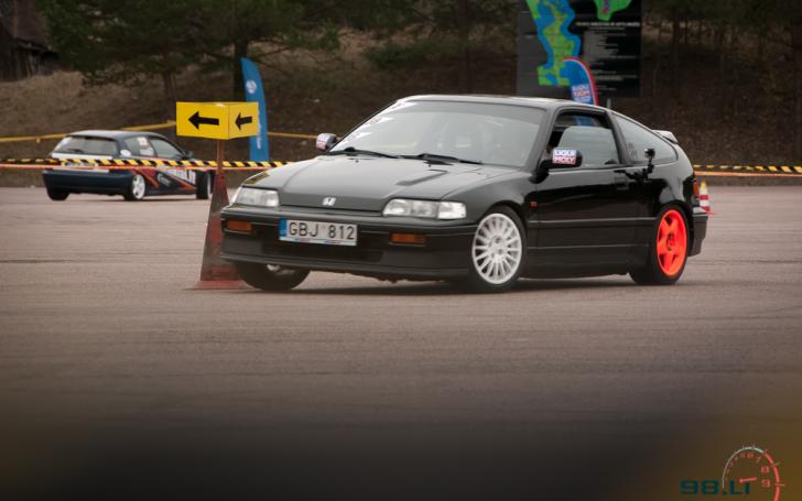 Moterų slalomas/Vytauto Pilkausko nuotrauka