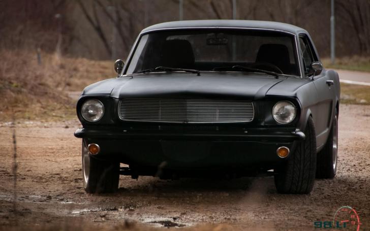Ford Mustang/Vytauto Pilkausko nuotrauka