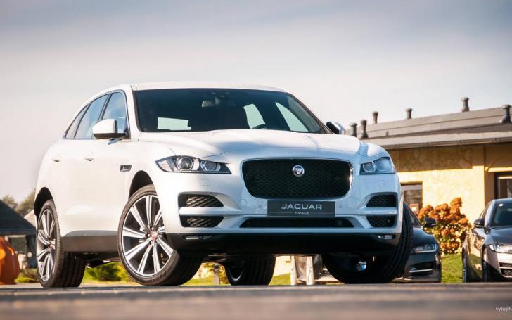 Jaguar F-Pace/Vytauto Pilkausko nuotrauka