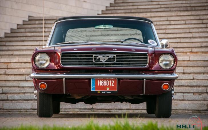 Automobilių susitikimas/Vytauto Pilkausko nuotrauka