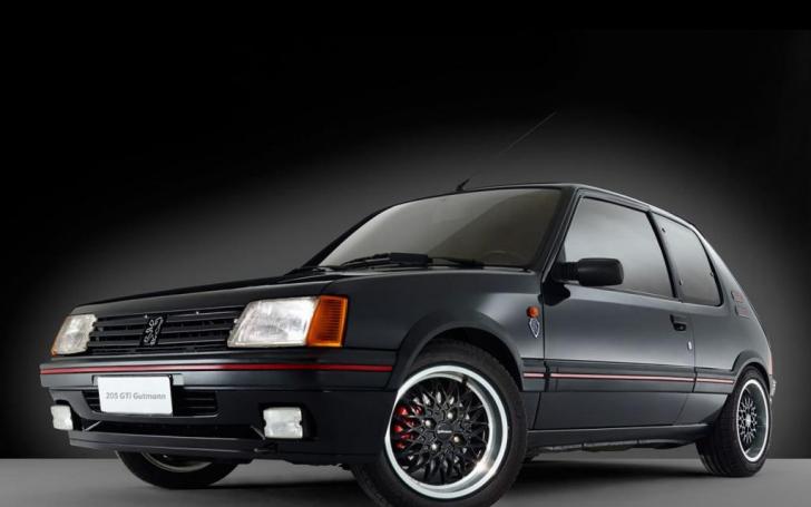 Peugeot 205 GTi 1.9 Gutmann/Gamintojo nuotrauka