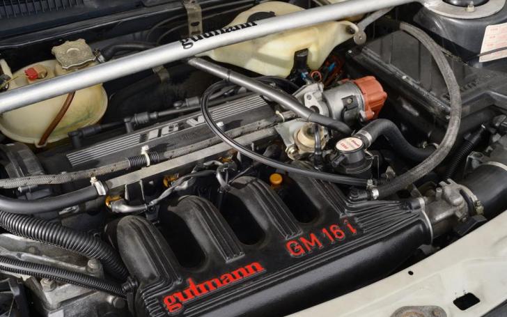 Peugeot 205 GTi 1.9 Gutmann/Gamintojo nuotrauka