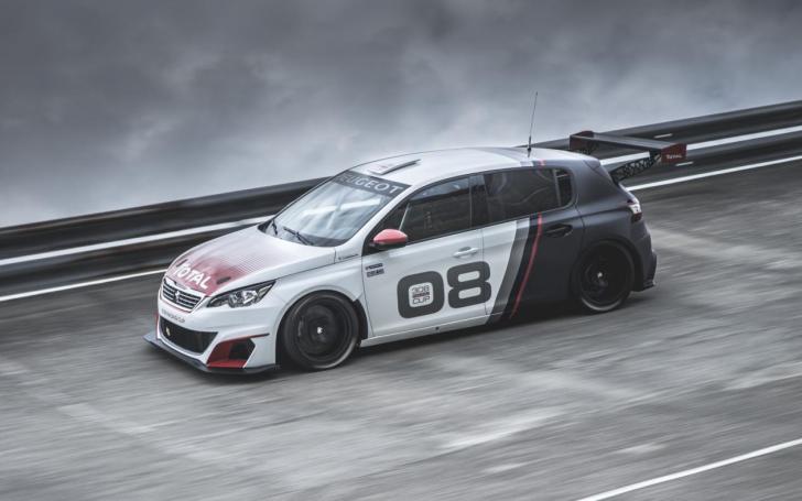 Peugeot 308 Racing Cup/Gamintojo nuotrauka