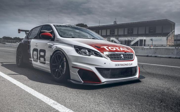 Peugeot 308 Racing Cup/Gamintojo nuotrauka