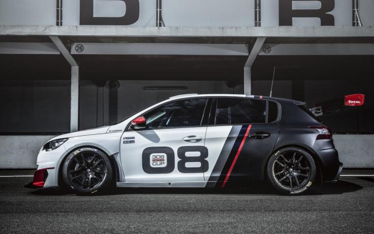 Peugeot 308 Racing Cup/Gamintojo nuotrauka