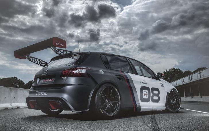 Peugeot 308 Racing Cup/Gamintojo nuotrauka
