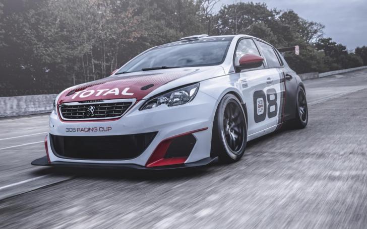 Peugeot 308 Racing Cup/Gamintojo nuotrauka