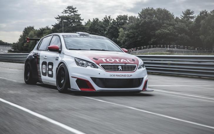 Peugeot 308 Racing Cup/Gamintojo nuotrauka