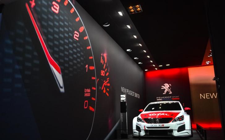 Peugeot 308 TCR/Vytauto Pilkausko nuotrauka