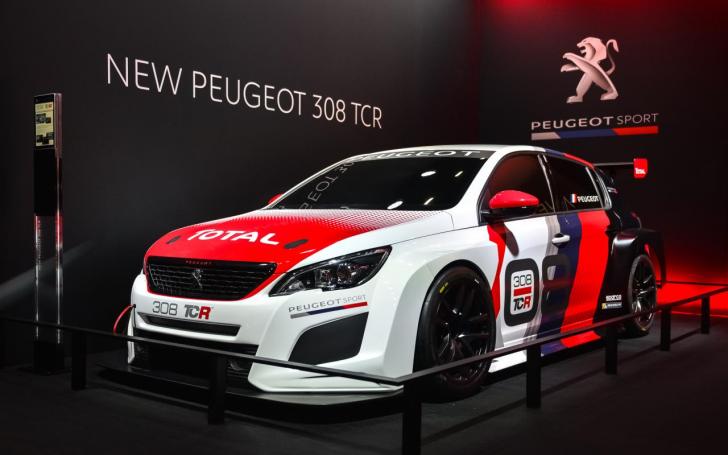 Peugeot 308 TCR/Vytauto Pilkausko nuotrauka