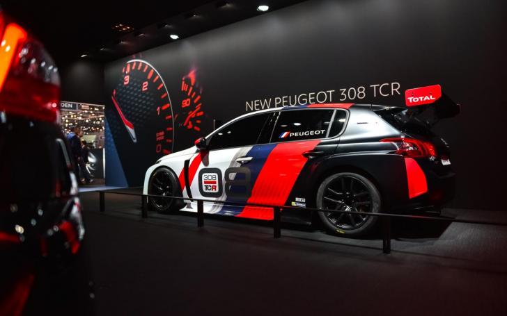 Peugeot 308 TCR/Vytauto Pilkausko nuotrauka