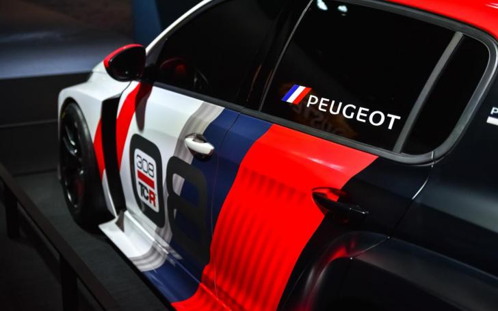 Peugeot 308 TCR/Vytauto Pilkausko nuotrauka
