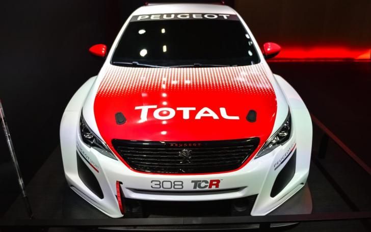 Peugeot 308 TCR/Vytauto Pilkausko nuotrauka