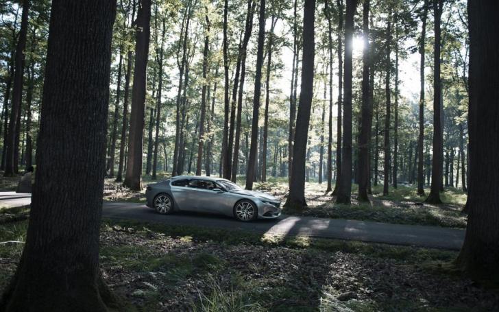 Peugeot Exalt Concept /Gamintojo nuotrauka