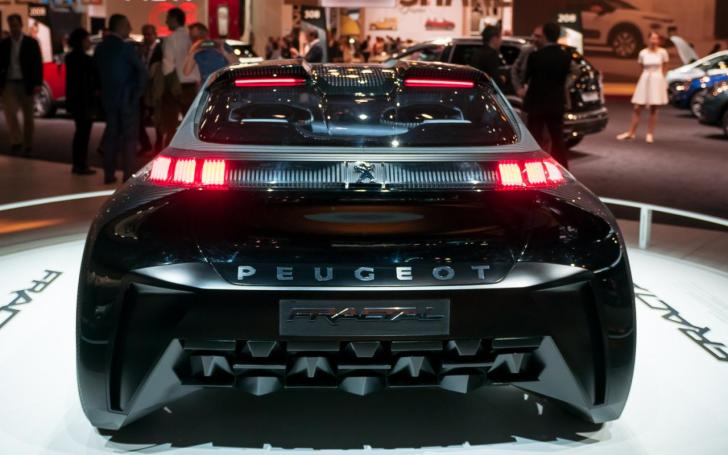 Peugeot Fractal/Vytauto Pilkausko nuotrauka