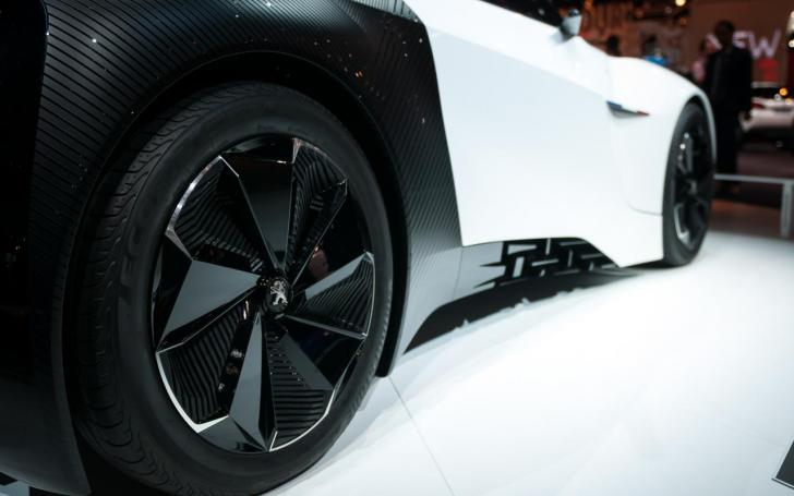 Peugeot Fractal/Vytauto Pilkausko nuotrauka