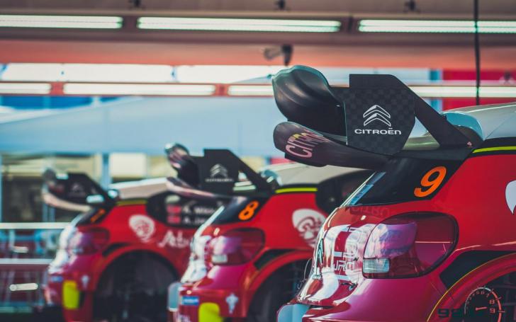 Lenkijos ralis 2017/Vytauto Pilkausko nuotrauka