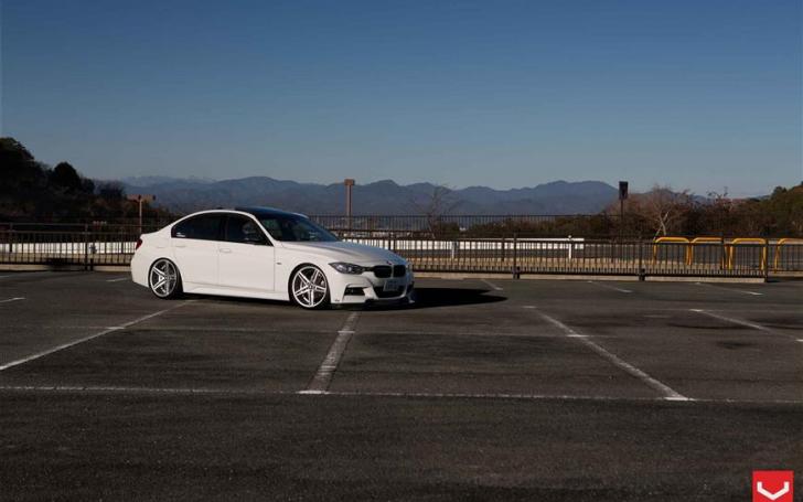 Vossen ratlankiai