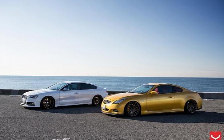 Vossen ratlankiai