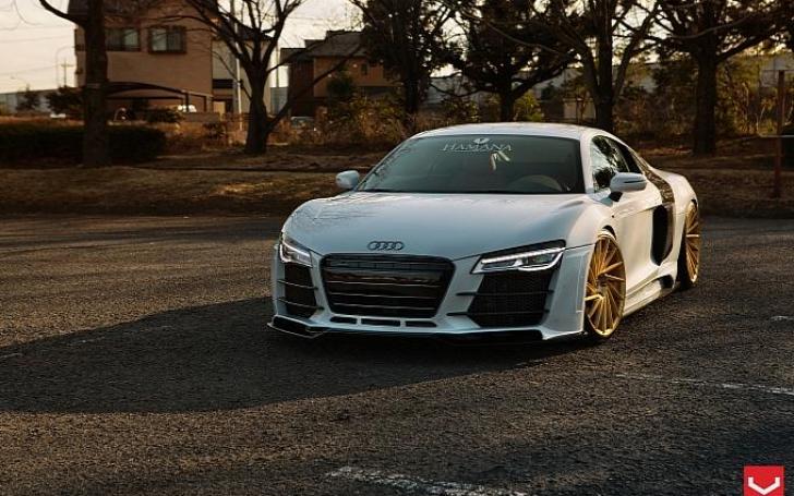 Vossen ratlankiai