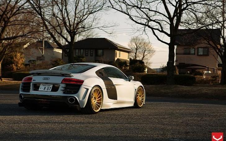 Vossen ratlankiai