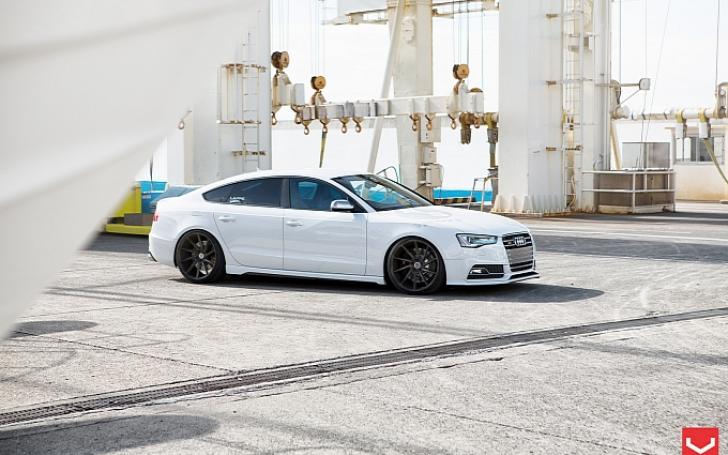 Vossen ratlankiai
