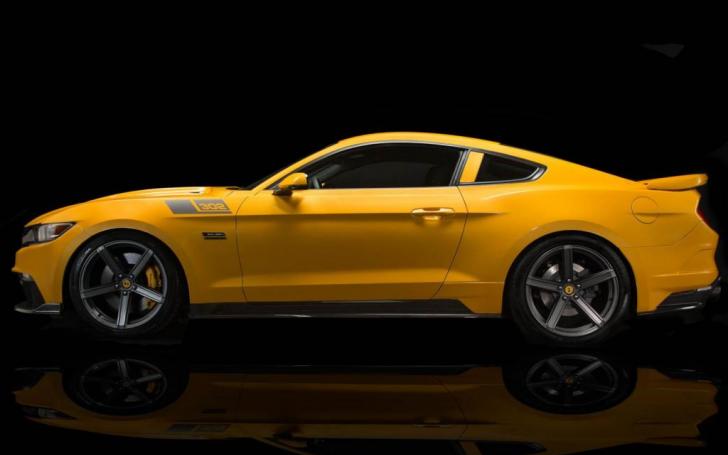 Saleen S302 Black Label Mustang/Gamintojo nuotrauka