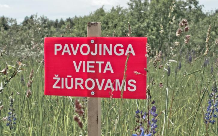 Ralis Saulė 2012/V. Pilkausko nuotrauka