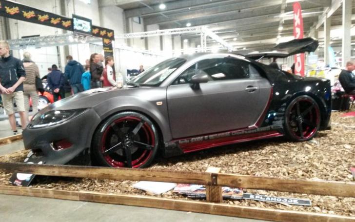 Scandinavian Motor Show 2014