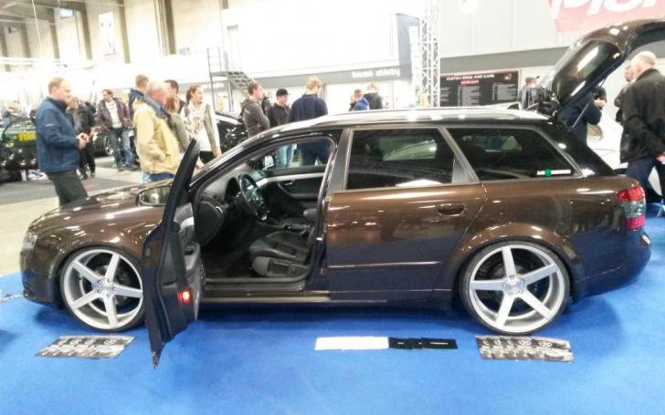 Scandinavian Motor Show 2014