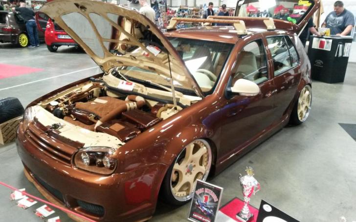Scandinavian Motor Show 2014