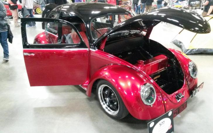 Scandinavian Motor Show 2014