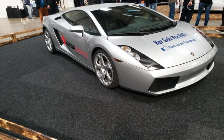 Scandinavian Motor Show 2014