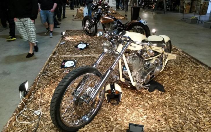 Scandinavian Motor Show 2014