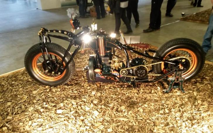 Scandinavian Motor Show 2014