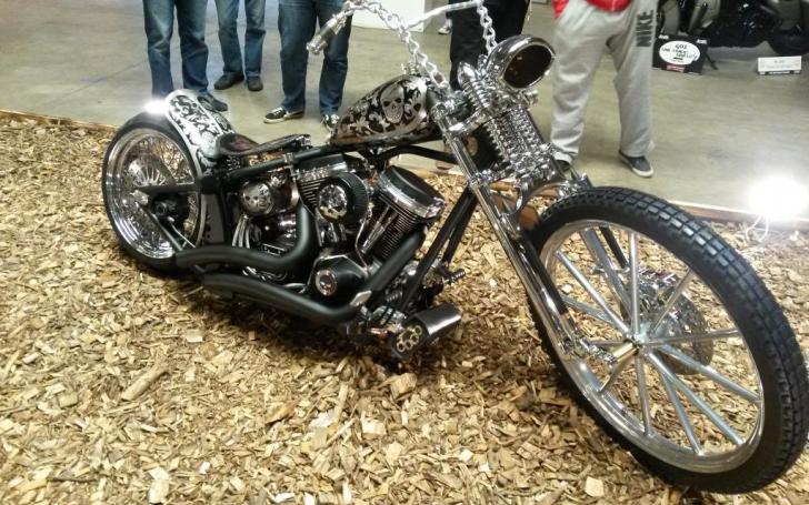 Scandinavian Motor Show 2014