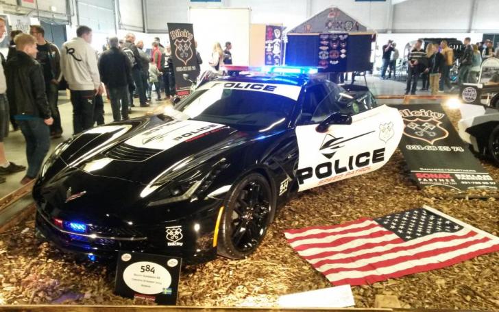 Scandinavian Motor Show 2014