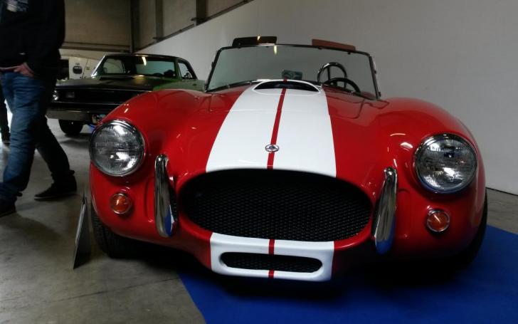 Scandinavian Motor Show 2014