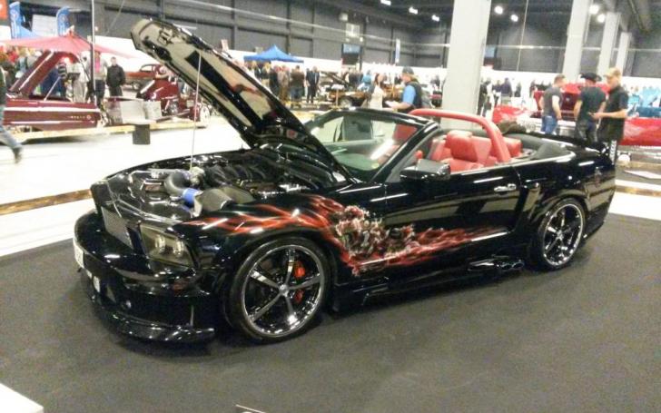 Scandinavian Motor Show 2014