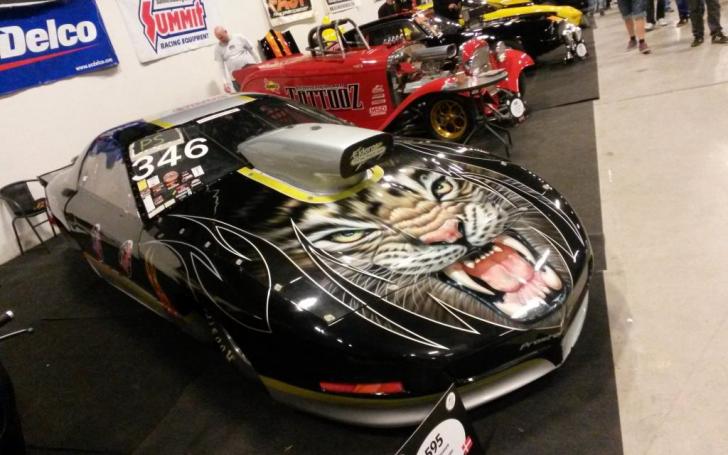 Scandinavian Motor Show 2014