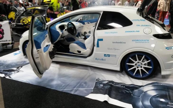 Scandinavian Motor Show 2014