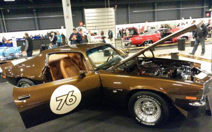 Scandinavian Motor Show 2014