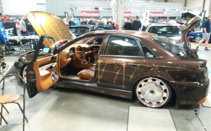 Scandinavian Motor Show 2014