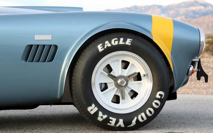 2014 Shelby CSX7000 289 FIA Cobra/Gamintojo nuotrauka